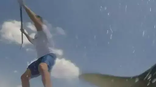 מקסימו טרינידד, גולש שנתקע בכריש בחופי פלורידה, אפריל 2016 מקסימו טרינידד, גולש שנתקע בכריש בחופי פלורידה, אפריל 2016