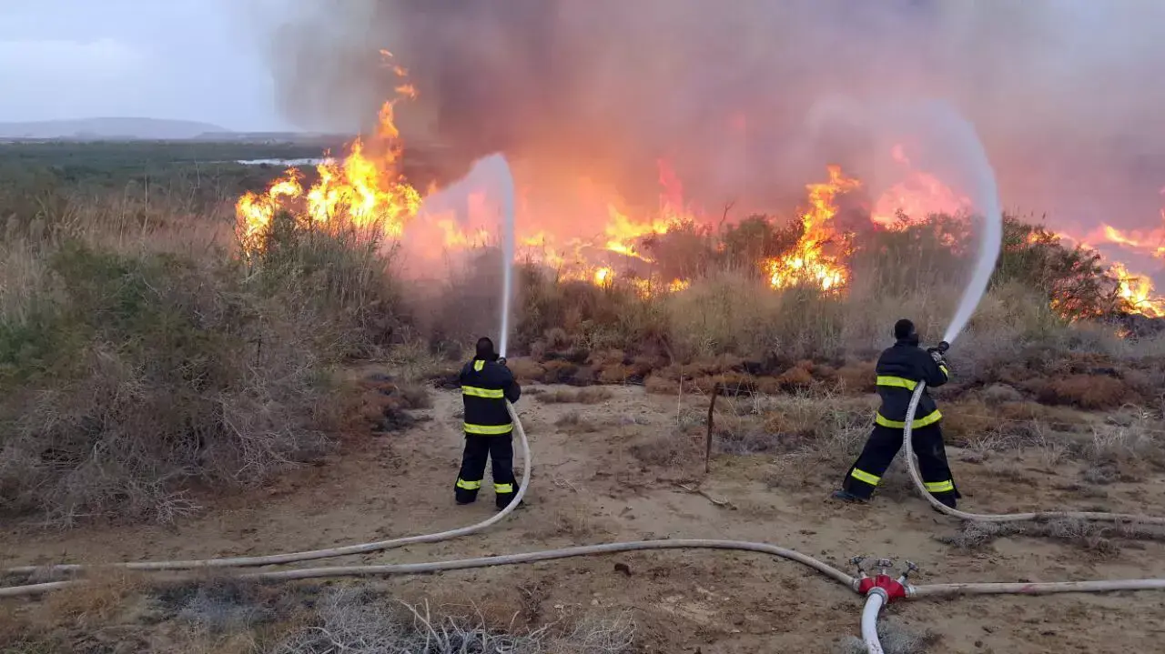 ברק פגע בשדה מוקשים וגרם להתלקחות ושריפה בשדה קוצים, סמוך ליישוב נאות הכיכר שבמועצה האזורית תמר. 10 באפריל 2016