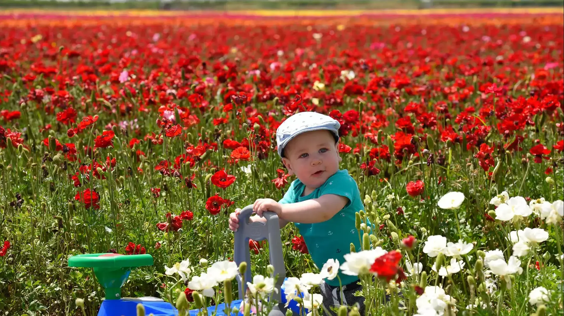 מטיילים בשדות גן יבנה מטיילים בשדות גן יבנה
