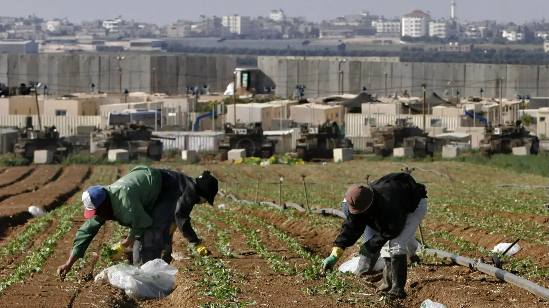 עובדים תאילנדים בעוטף ליד רצועת עזה, 2006 עובדים תאילנדים בעוטף ליד רצועת עזה, 2006