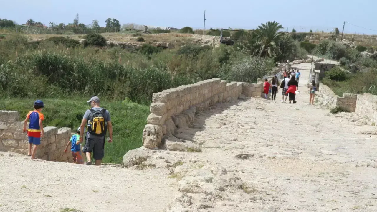 מטיילים בנחל תנינים שבצפון השרון. 23 באפריל 2016 מטיילים בנחל תנינים שבצפון השרון. 23 באפריל 2016