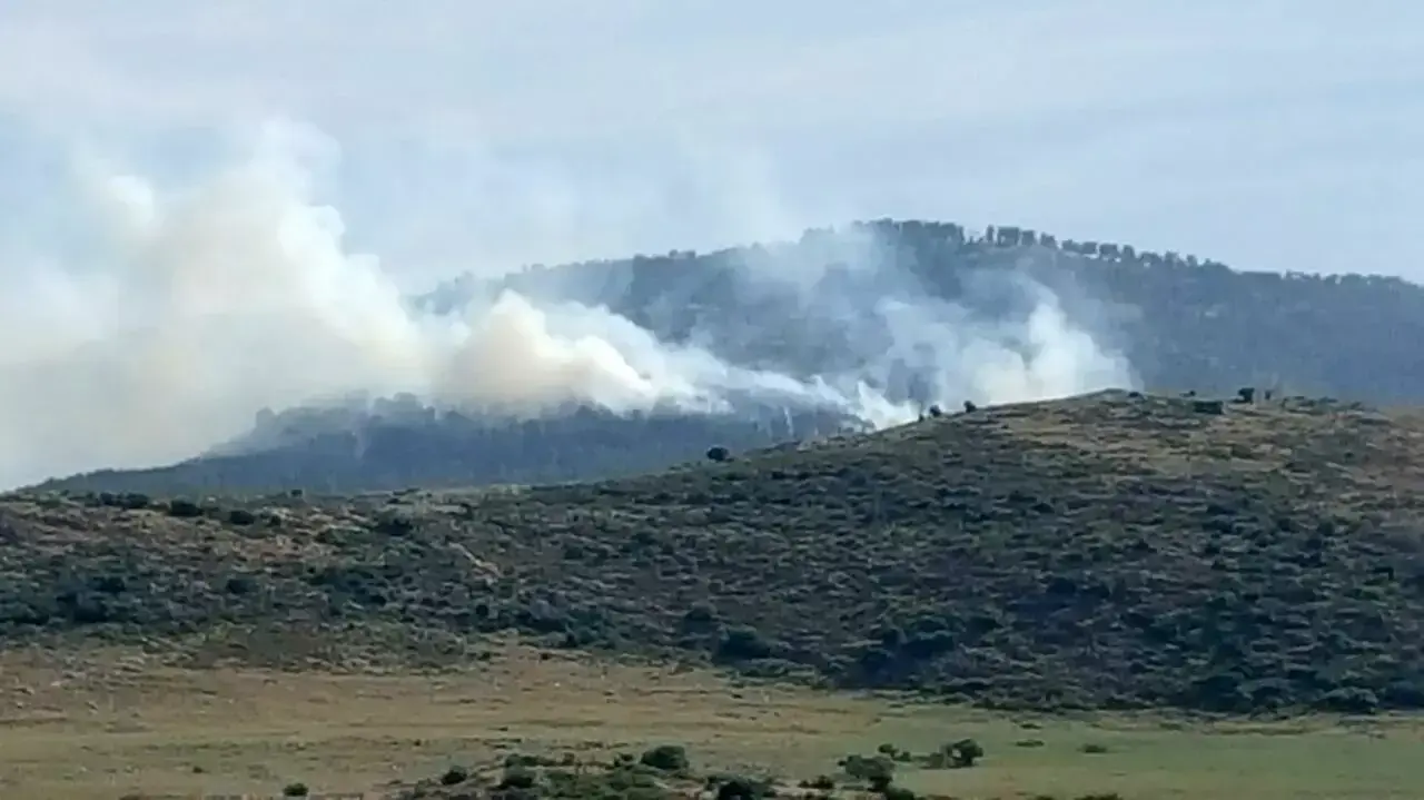 שריפה שפרצה ביער ביריה שבגליל העליון, אפריל 2016