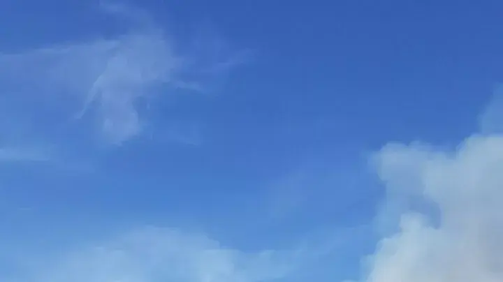 שריפה שפרצה ביער ביריה שבגליל העליון, אפריל 2016 שריפה שפרצה ביער ביריה שבגליל העליון, אפריל 2016