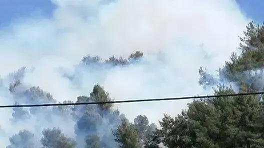 שריפה שפרצה ביער ביריה שבגליל העליון, אפריל 2016 שריפה שפרצה ביער ביריה שבגליל העליון, אפריל 2016