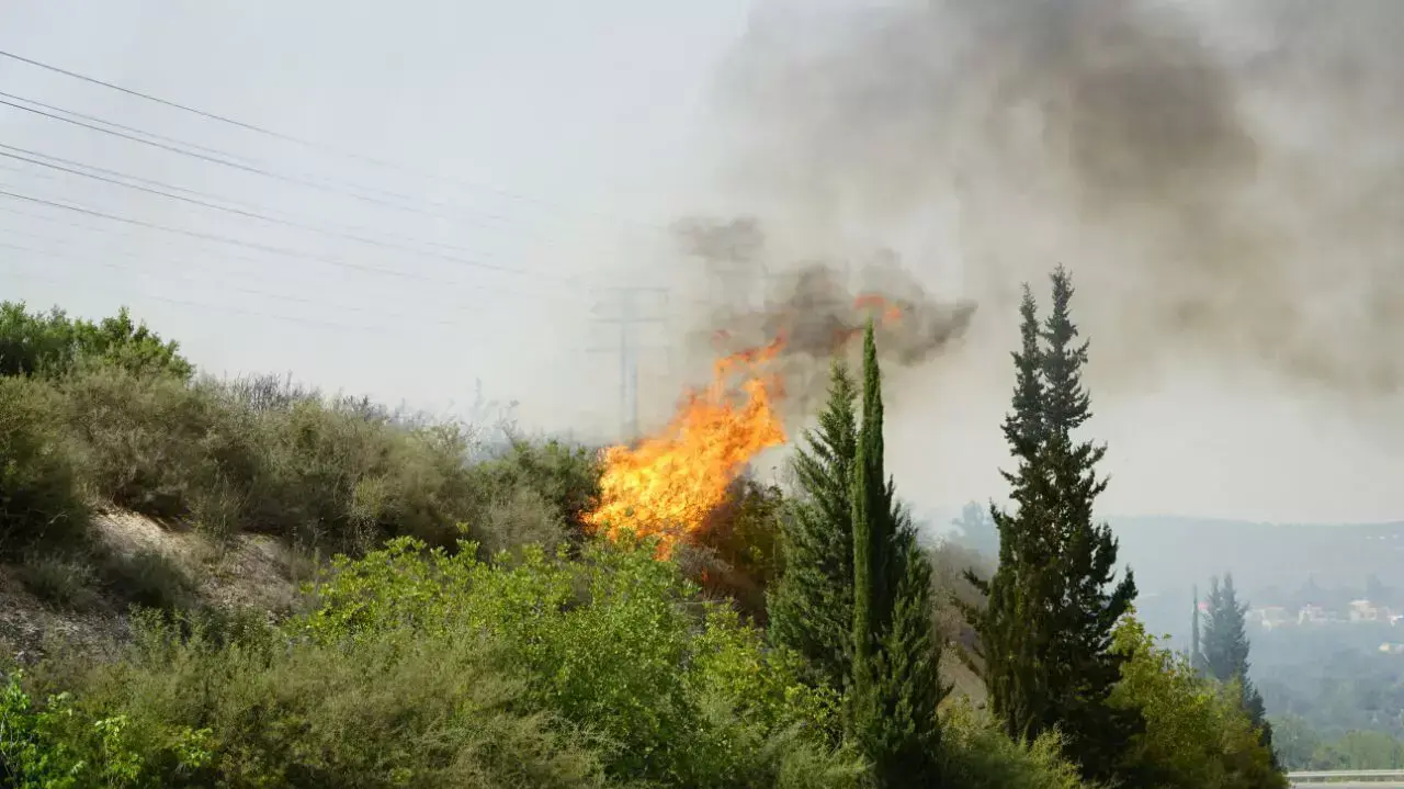 שריפה בין שלומי לקיבוץ מצובה. הגליל המערב, 26 באפריל 2016
