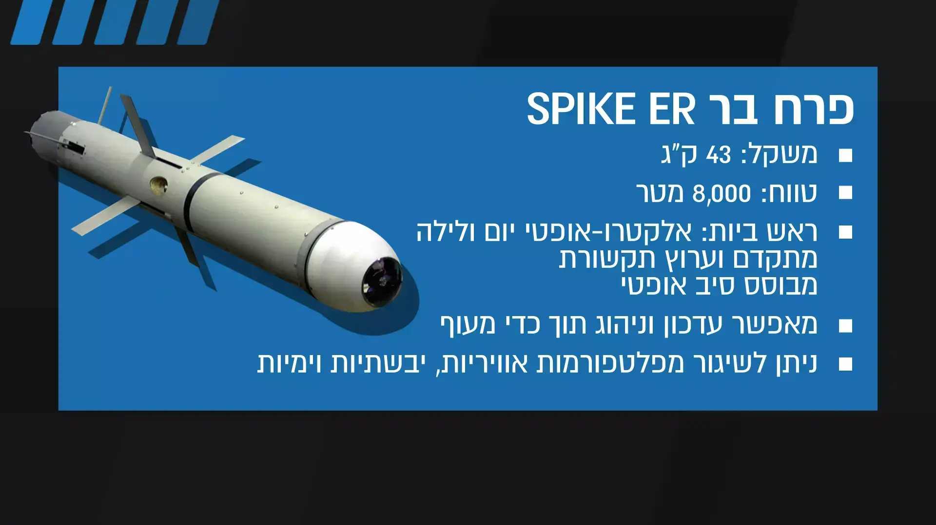 פרח בר SPIKE ER פרח בר SPIKE ER