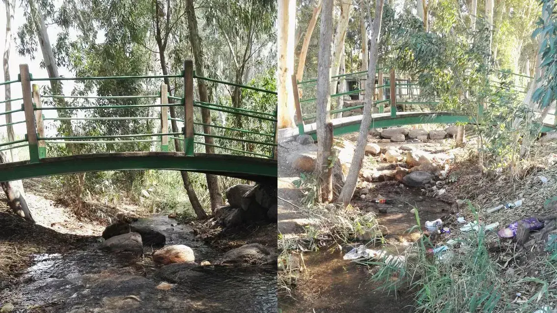 עין יזרעאל הושחת על ידי מטיילים, ונוקה על ידי מתנדבים עין יזרעאל הושחת על ידי מטיילים, ונוקה על ידי מתנדבים