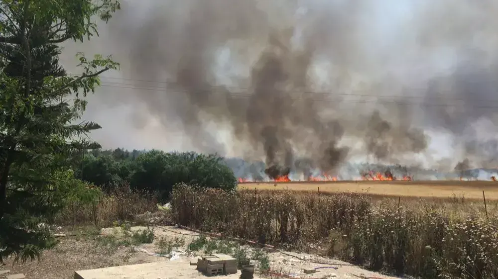 לשריפה סמוך ללוזית. 1 במאי 2016