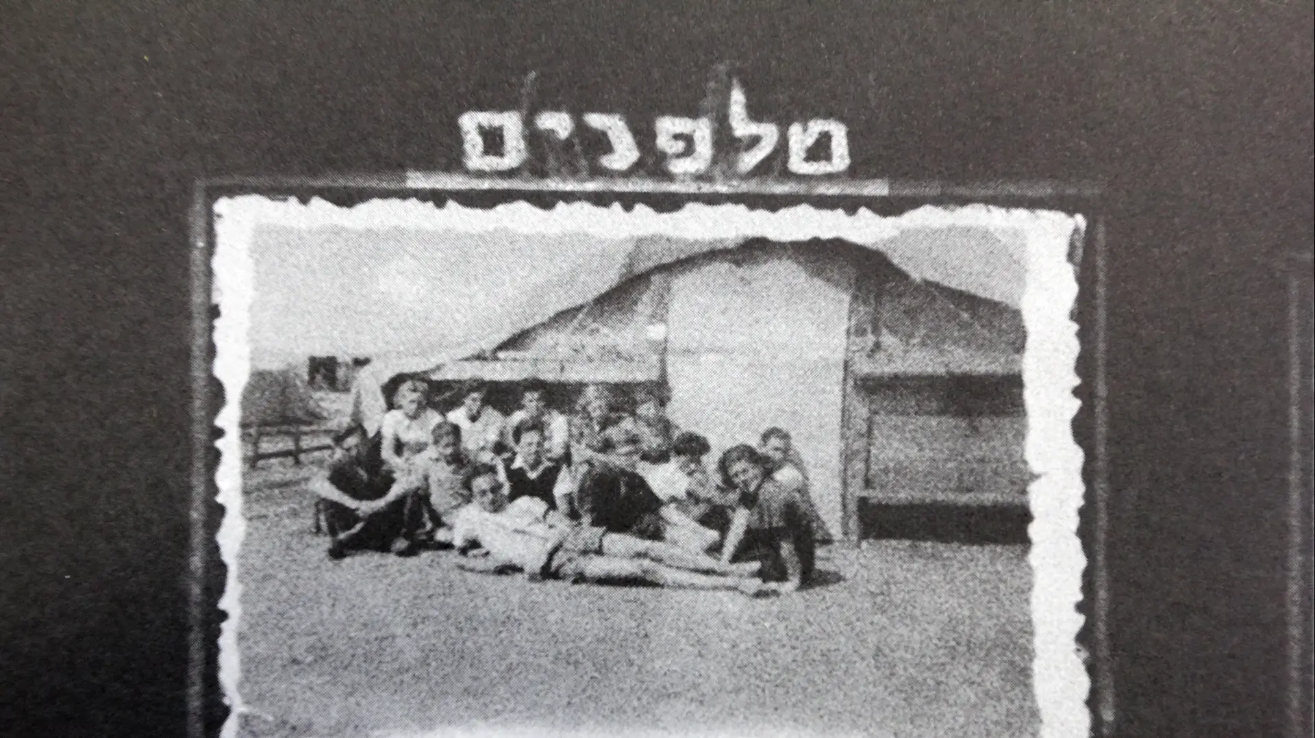 ניצה בטשה, קיבוץ עברון. אפריל 2016 ניצה בטשה, קיבוץ עברון. אפריל 2016
