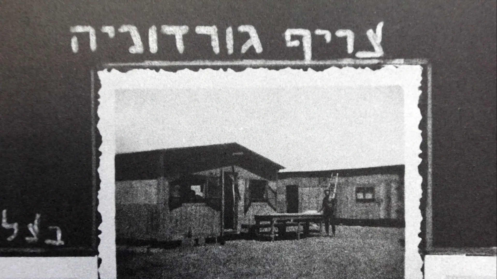 ניצה בטשה, קיבוץ עברון. אפריל 2016 ניצה בטשה, קיבוץ עברון. אפריל 2016