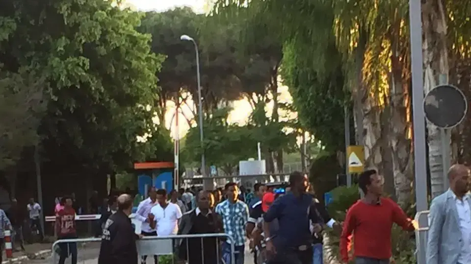 קטטה המונית במסגרת יום העצמאות של אריתריאה גני התערוכה תל אביב, 6 מאי 2016 קטטה המונית במסגרת יום העצמאות של אריתריאה גני התערוכה תל אביב, 6 מאי 2016
