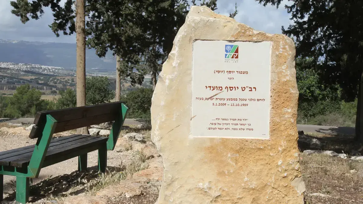 מצפור יוסף (יוסי) מועדי, יער קריית אתא. מאי 2016 מצפור יוסף (יוסי) מועדי, יער קריית אתא. מאי 2016