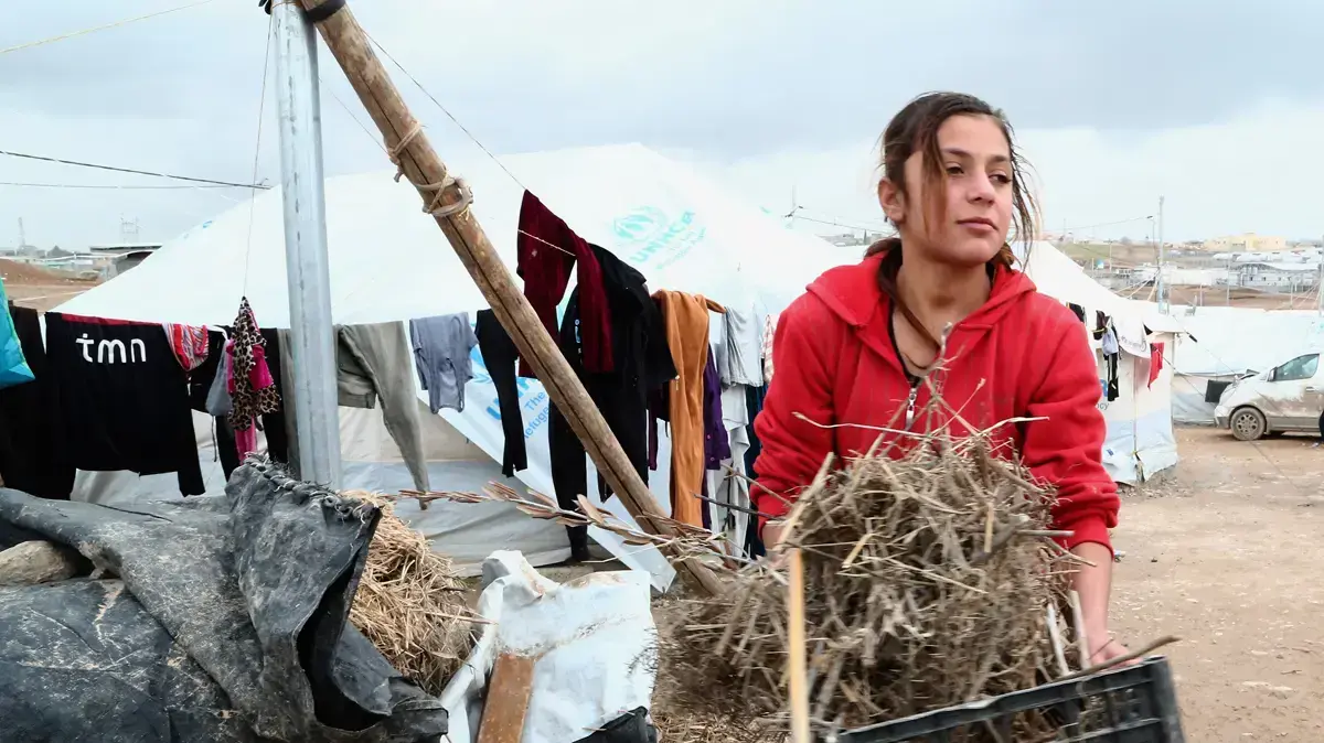 מחנות לפליטים יזידים באזור העיר דהוכ שבצפון עיראק