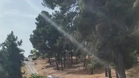 חשד לפיגוע דקירה טיילת ארמון הנציב בירושלים
