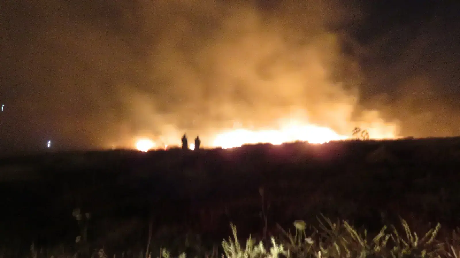 שריפה בהתנחלות נגוהות ליד חברון 15 מאי 2015 שריפה בהתנחלות נגוהות ליד חברון 15 מאי 2015