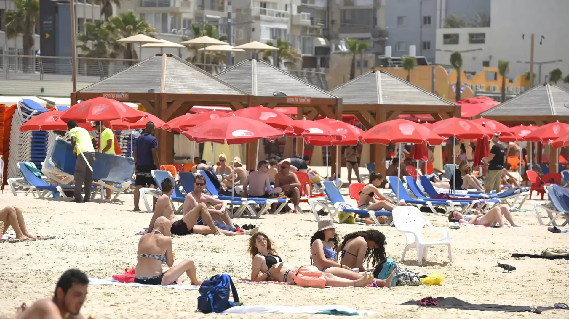חמסין בתל אביב חמסין בתל אביב