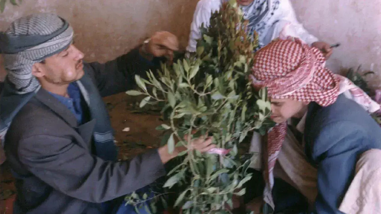 גברים בשוק גת בעיר צנעא בתימן גברים בשוק גת בעיר צנעא בתימן