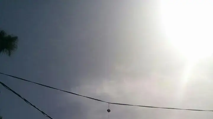 בובת עורב שנתלתה על כבל החשמל באוניברסיטת אריאל כדי להרתיע את העורבים בסביבה. מאי 2016