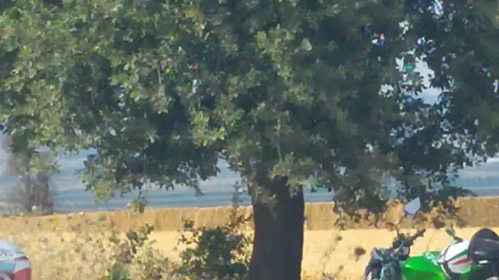 משמר העמק תאונה קטלנית רוכב אופנוע נהרג משמר העמק תאונה קטלנית רוכב אופנוע נהרג