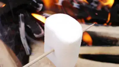 אילוסטרציה אילוסטרציה