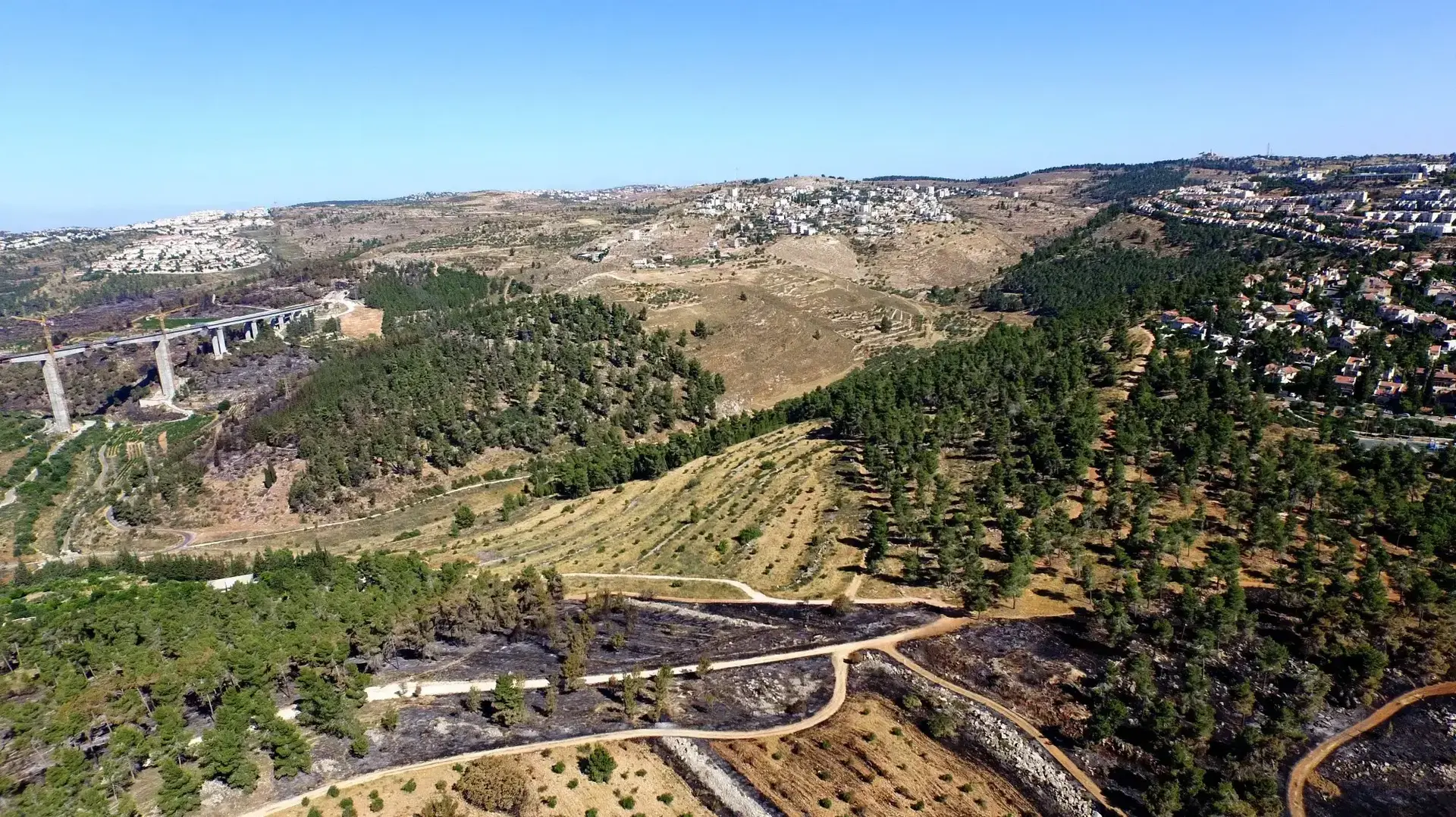 מצפה נפתוח
