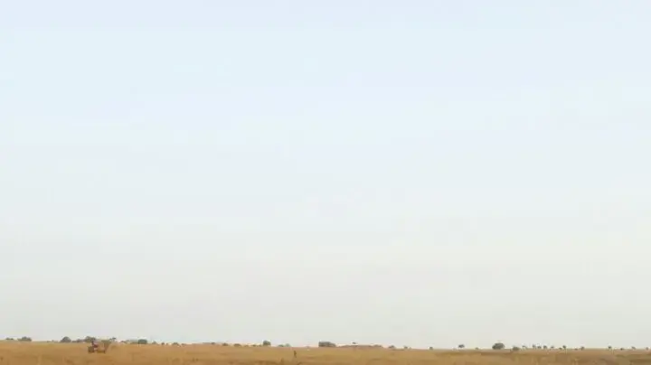נגמ"ש מסוג נמר נגמ"ש מסוג נמר