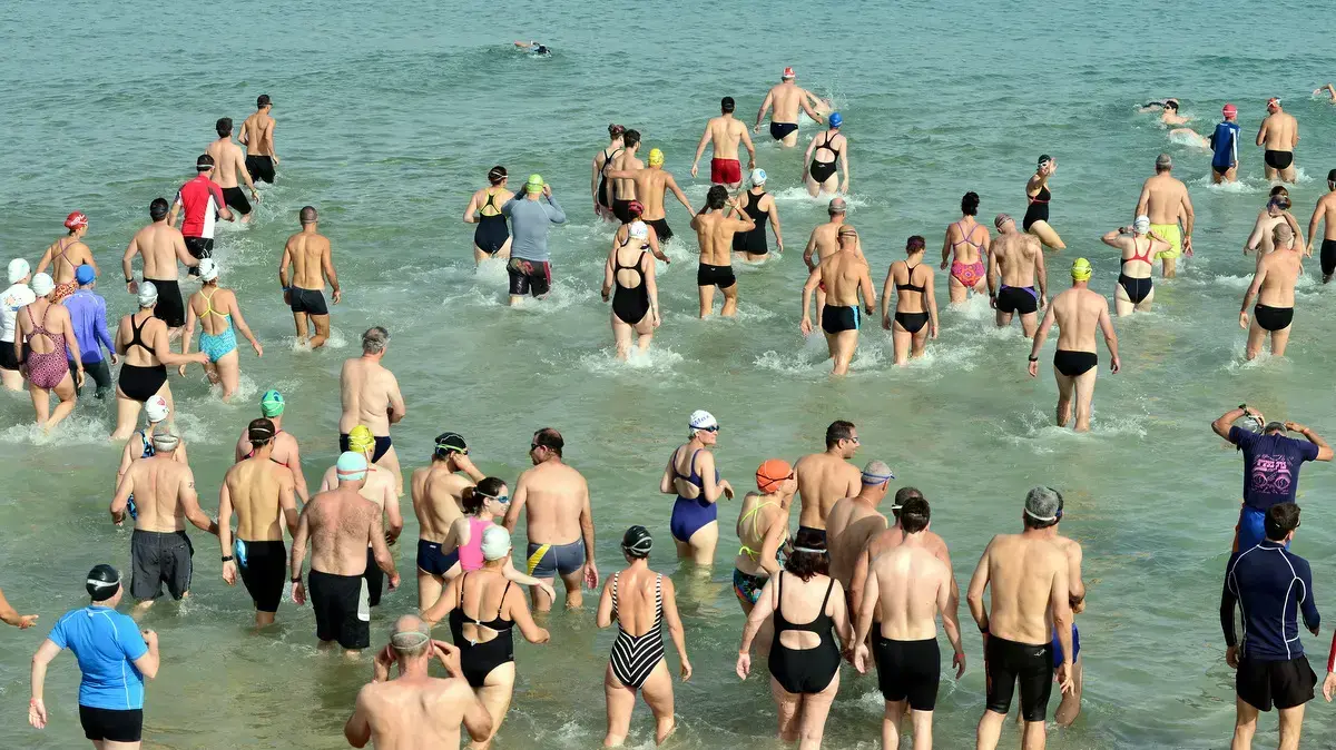 משחה לאורך חופי חיפה יוני 2016 משחה לאורך חופי חיפה יוני 2016