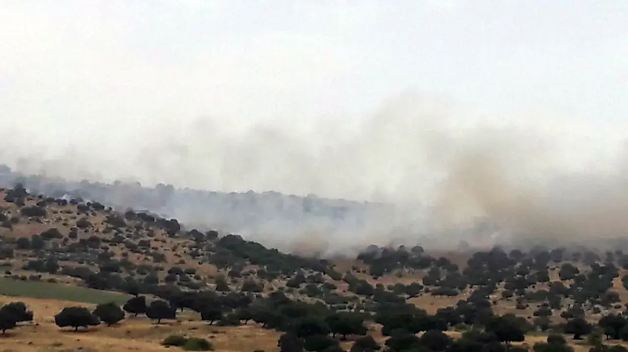 שריפה ביער בית קשת באזור עפולה, 4.6.2016 שריפה ביער בית קשת באזור עפולה, 4.6.2016