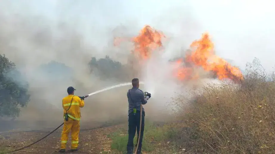 שריפה ביער בית קשת שבעמק יזרעאל. 4 ביוני 2016 שריפה ביער בית קשת שבעמק יזרעאל. 4 ביוני 2016