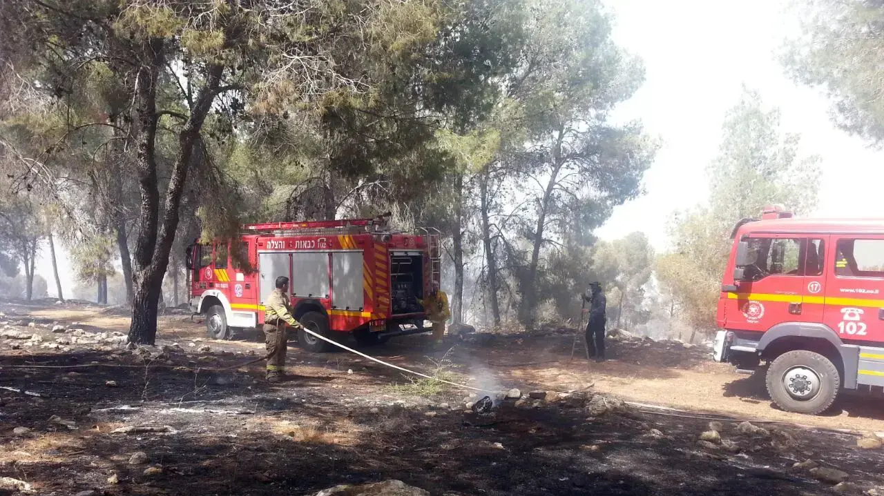 שריפה בסמוך לכפר נין שבאזור עפולה. 4 ביוני 2016 שריפה בסמוך לכפר נין שבאזור עפולה. 4 ביוני 2016