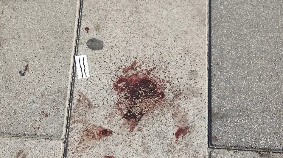 סינמטק תל אביב יום לאחר פיגוע הירי במתחם שרונה בתל אביב. 9 בינואר 2016