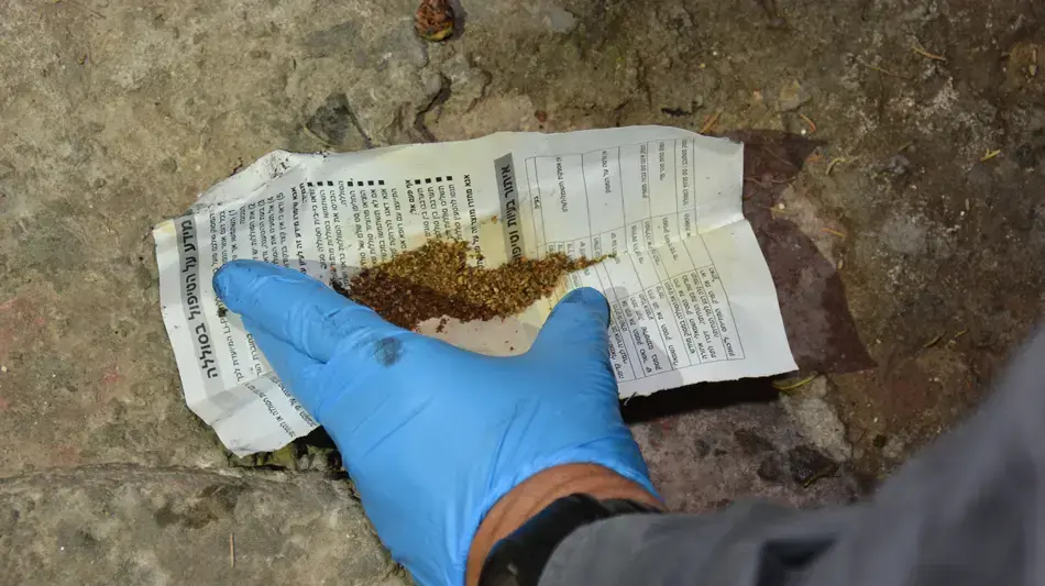 מצבורי סמים שנתפסו במהלך מבצע של המשטרה בנצרת עילית שימשו למסיבות טבע בהן השתתפו בני נוער מצבורי סמים שנתפסו במהלך מבצע של המשטרה בנצרת עילית שימשו למסיבות טבע בהן השתתפו בני נוער