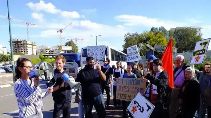 תאיר קמינר תאיר קמינר