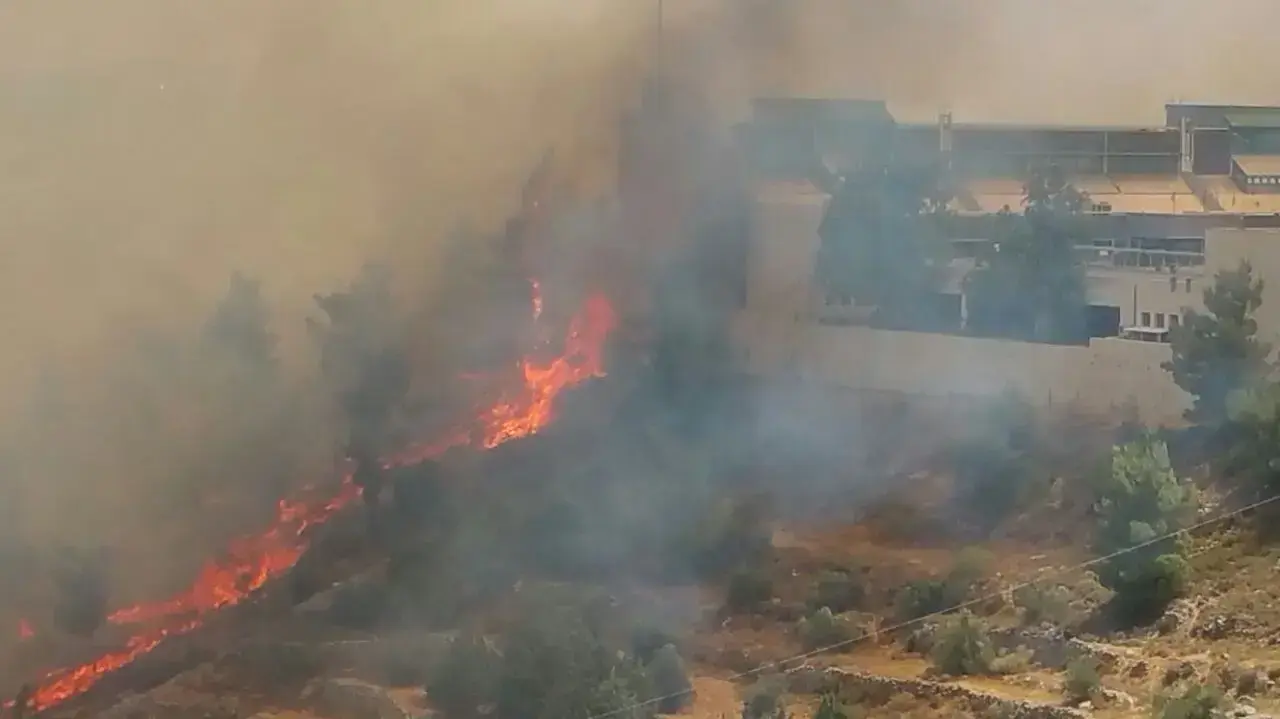 שריפה ביער ירושלים. 15 ביוני 2016 שריפה ביער ירושלים. 15 ביוני 2016