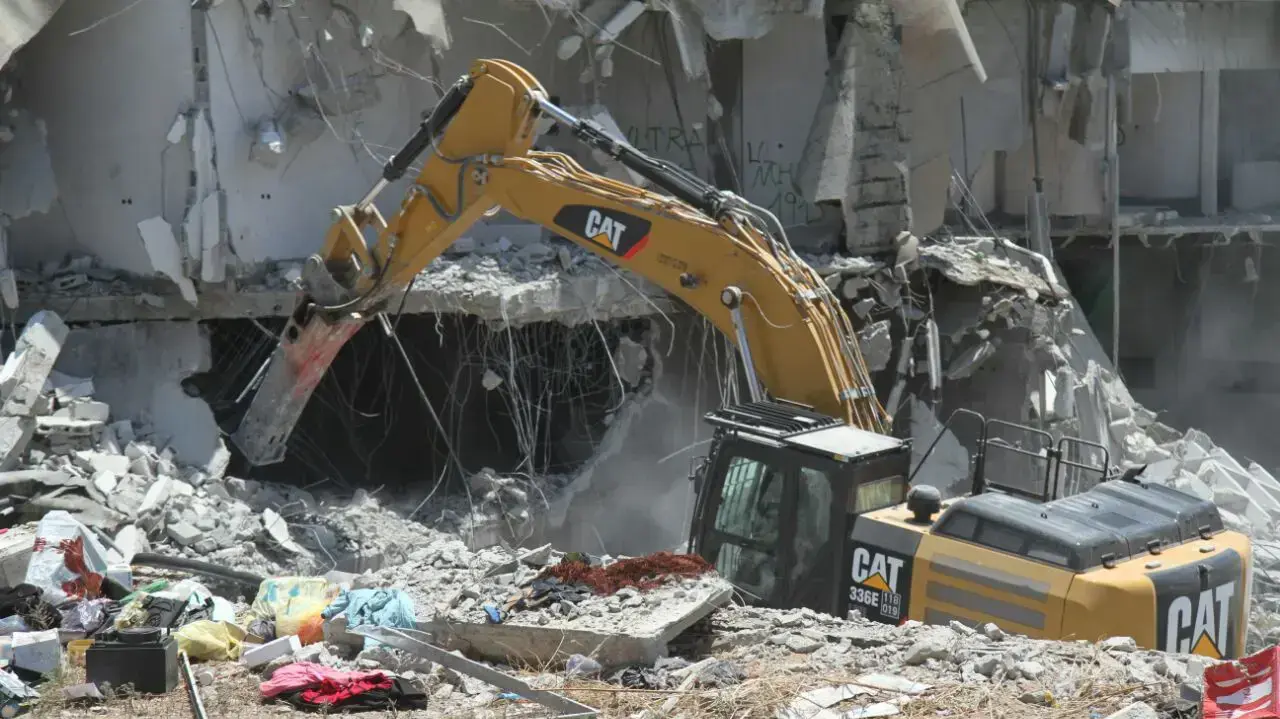 עשרות עטלפים נהרגו בהריסת מבנה בחדרה 17.06.16