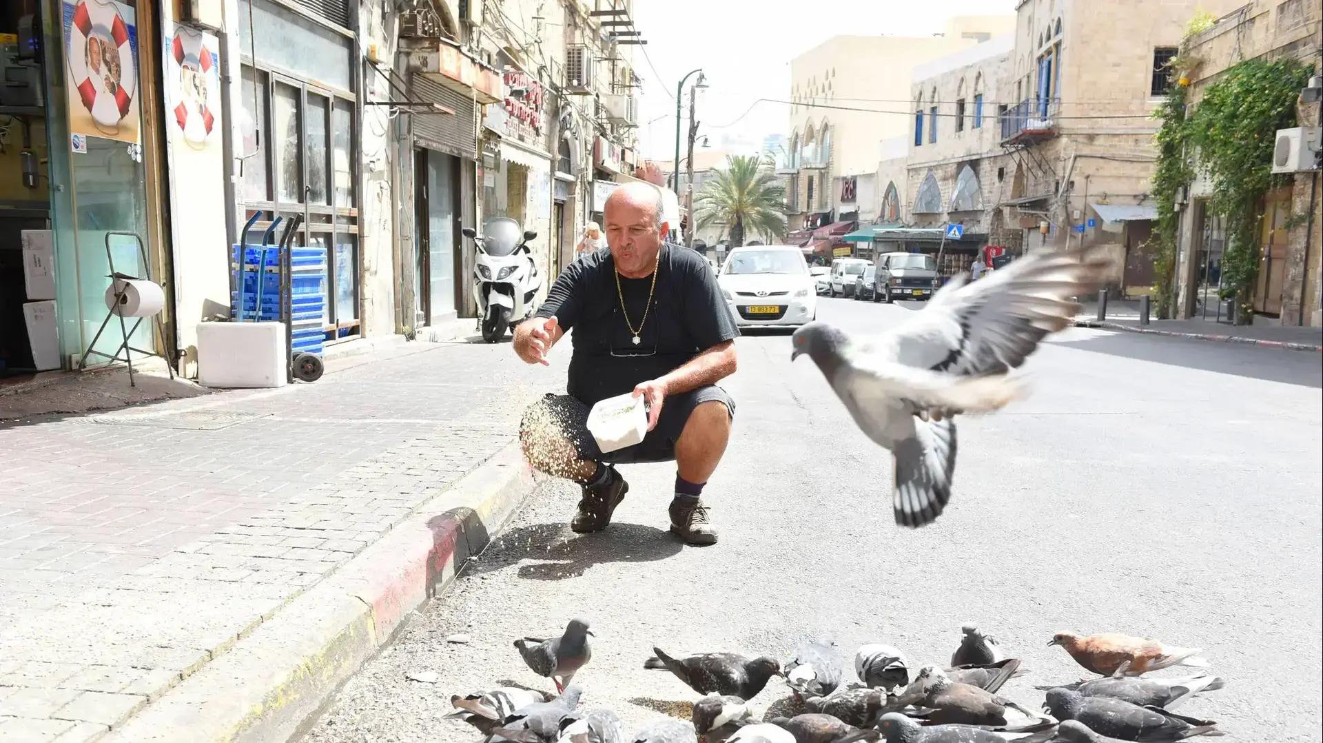 ללא פילטר יפו ללא פילטר יפו