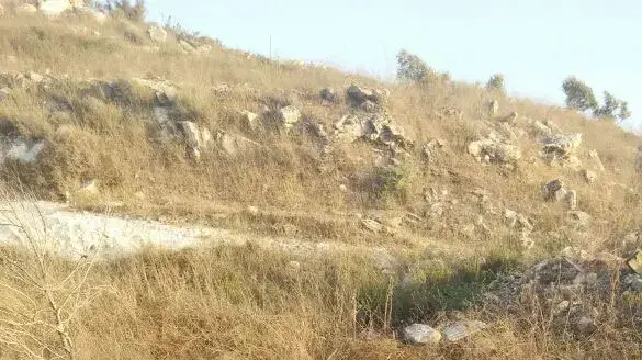 תאונת דרכים סמוך למצפה אביב, גוש שגב. יוני 2016