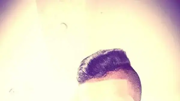 המחבל שביצע את הפיגוע בקריית ארבע, מוחמד טראיירה, בן 19 מהכפר בני נעים שליד חברון, 30 ביוני 2016