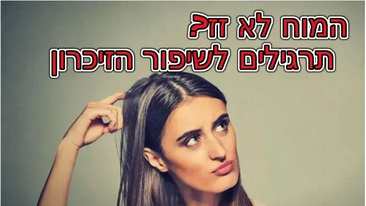 חידון פלייבאז שיפור הזיכרון חידון פלייבאז שיפור הזיכרון