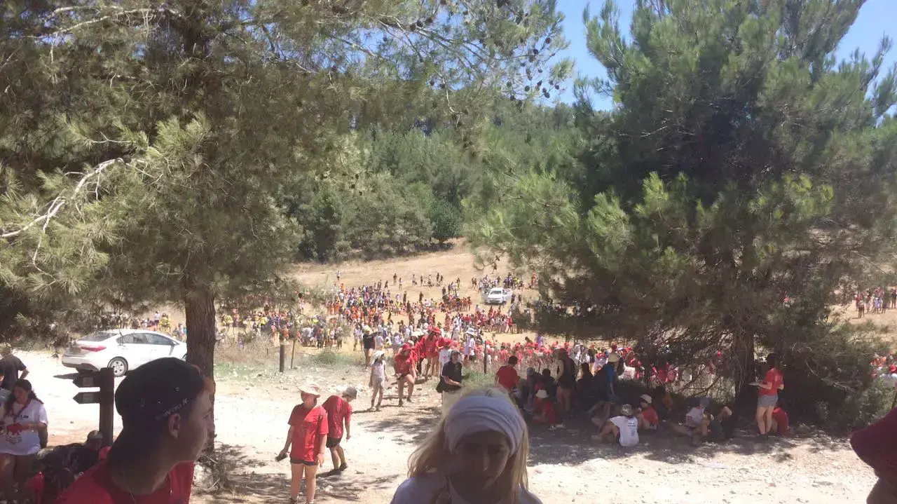 חניכי תנועת הצופים פונו ממחנה קיץ בקרבת נחל השופט  300 בעקבות שריפה שפרצה באזור