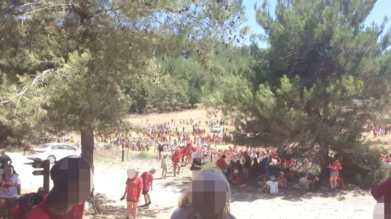 חניכי תנועת הצופים פונו ממחנה קיץ בקרבת נחל השופט 300 בעקבות שריפה שפרצה באזור חניכי תנועת הצופים פונו ממחנה קיץ בקרבת נחל השופט 300 בעקבות שריפה שפרצה באזור