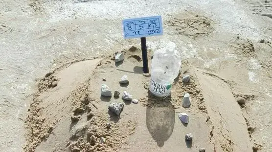 מקום קבורתה של זיזי הופנר, ניצולת שואה ערירית. בית העלמין באשדוד. 10 ביולי 2016 מקום קבורתה של זיזי הופנר, ניצולת שואה ערירית. בית העלמין באשדוד. 10 ביולי 2016