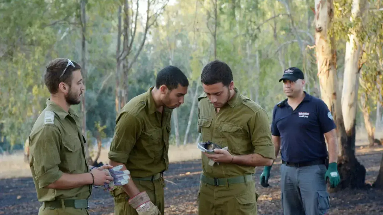 נפילות שברים בעקבות טילי פטריוט ששוגרו לעבר כלי טיס בלתי מאויש, איילת השחר. יולי 2016 נפילות שברים בעקבות טילי פטריוט ששוגרו לעבר כלי טיס בלתי מאויש, איילת השחר. יולי 2016