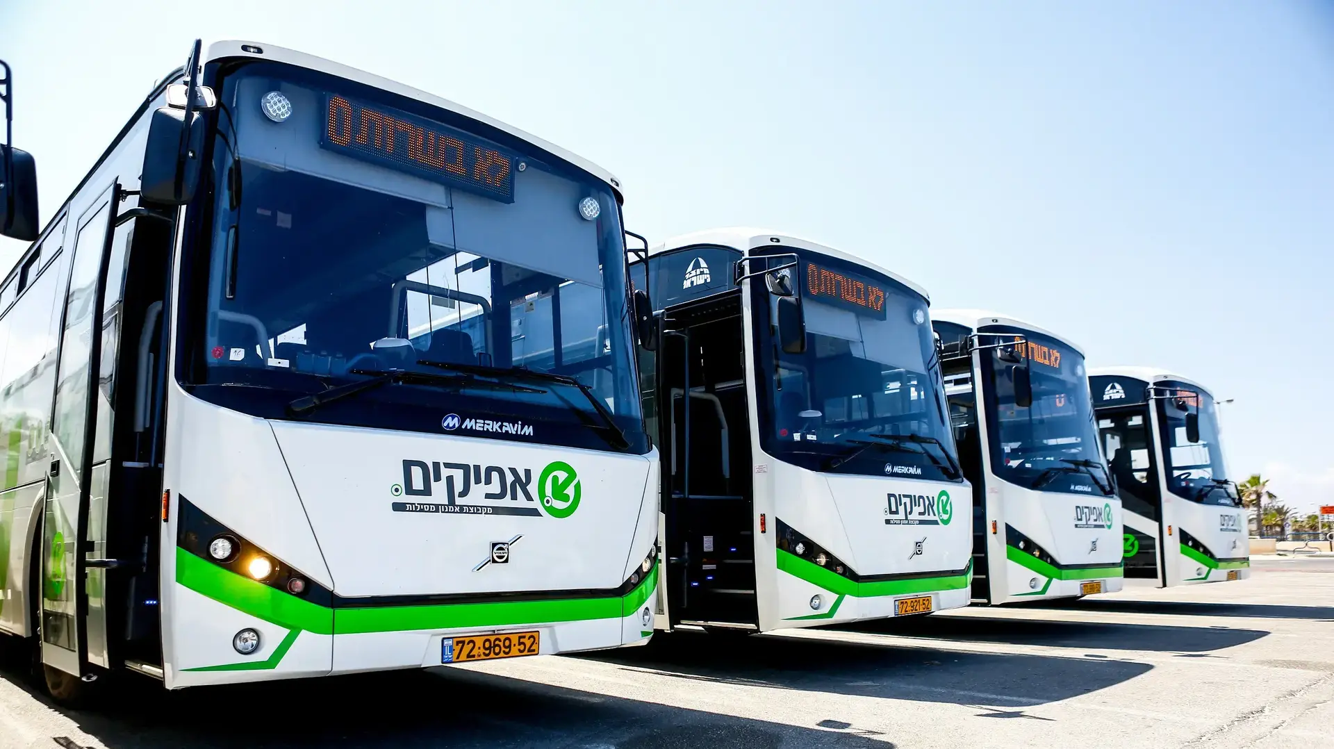 אוטובוסים של חברת "אפיקים". 23 ביולי 2016