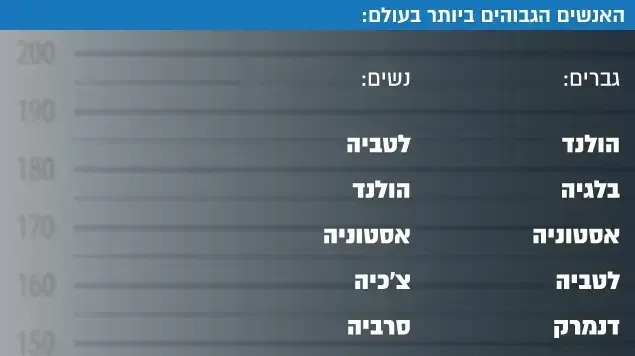 אינפו גבוהים אינפו גבוהים