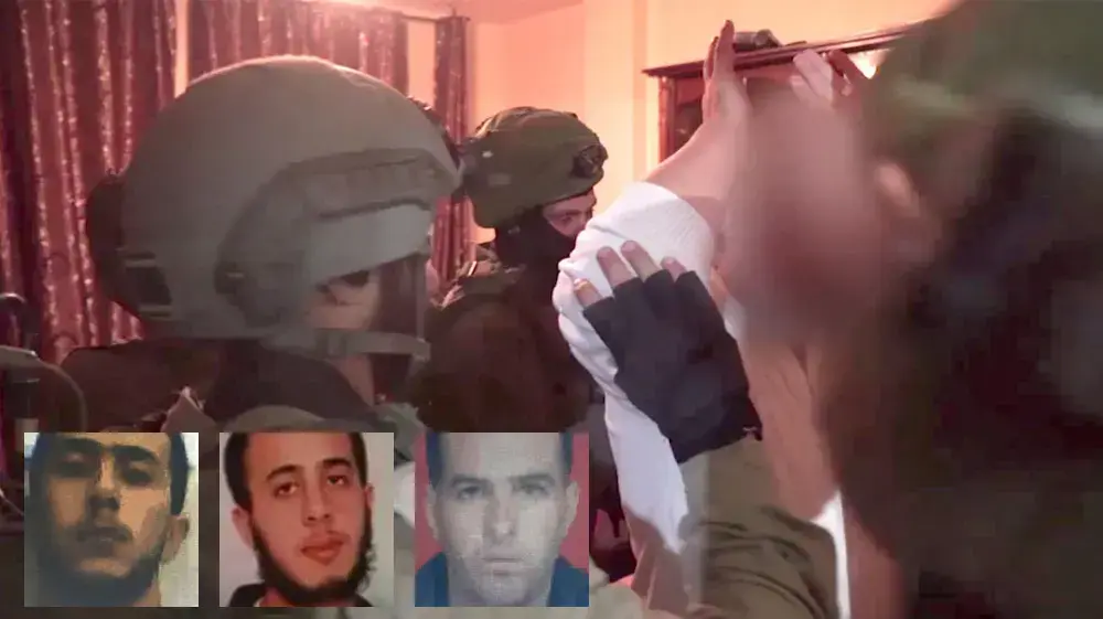 צה"ל מעצרים מחבלים מיכאל מרק צה"ל מעצרים מחבלים מיכאל מרק