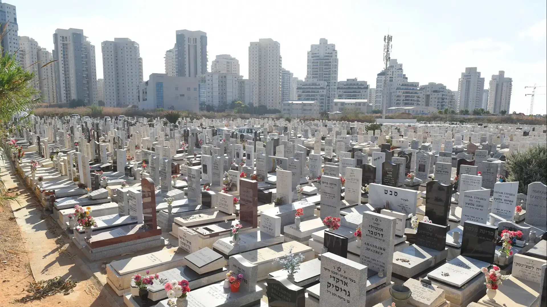 בית העלמין סגולה, ברקע שכונת מרום נוה פתח תקווה. יולי 2016 בית העלמין סגולה, ברקע שכונת מרום נוה פתח תקווה. יולי 2016