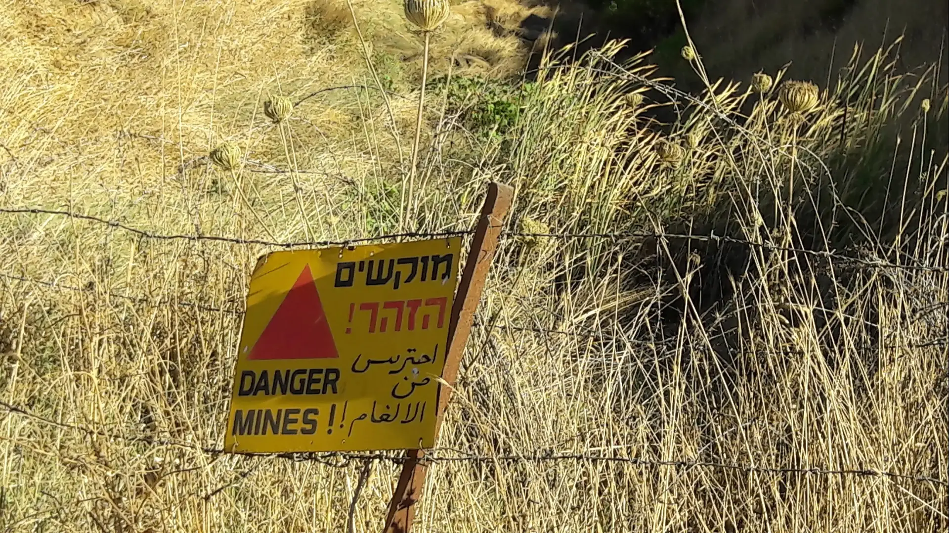 עין זיוון בצפון רמת הגולן עין זיוון בצפון רמת הגולן