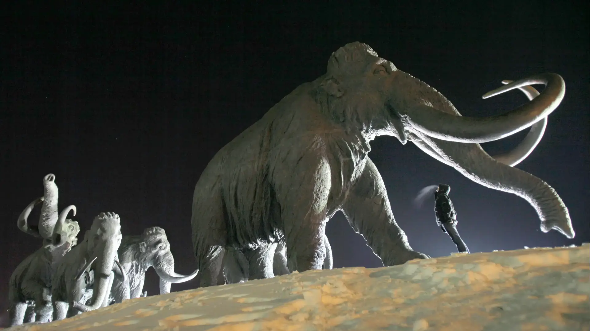 פסלי ממותות בסיביר, רוסיה, 2009 פסלי ממותות בסיביר, רוסיה, 2009