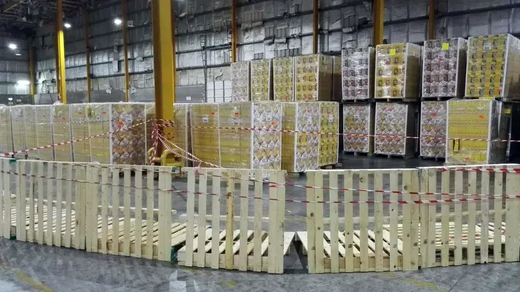סחורה פסולה של תלמה במחסן יוניליוור בערד. 5 באוגוסט 2016